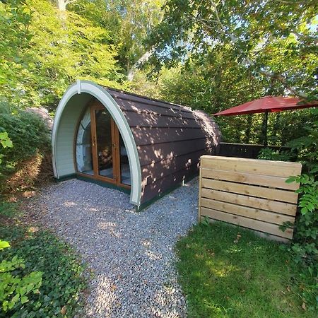 Priory Glamping Pods And Guest Accommodation Cill Airne Kültér fotó