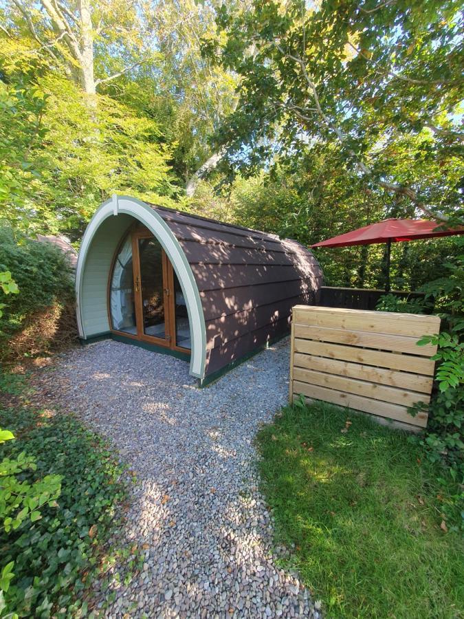 Priory Glamping Pods And Guest Accommodation Cill Airne Kültér fotó