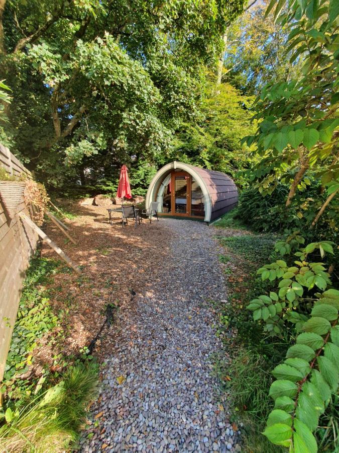 Priory Glamping Pods And Guest Accommodation Cill Airne Kültér fotó