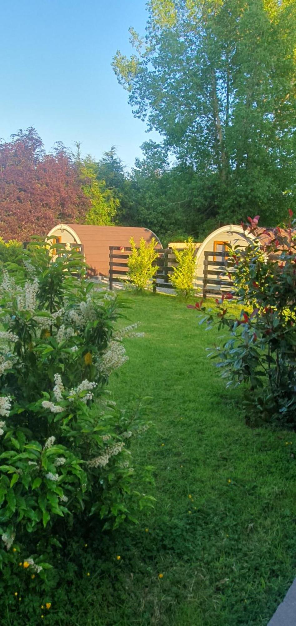 Priory Glamping Pods And Guest Accommodation Cill Airne Kültér fotó