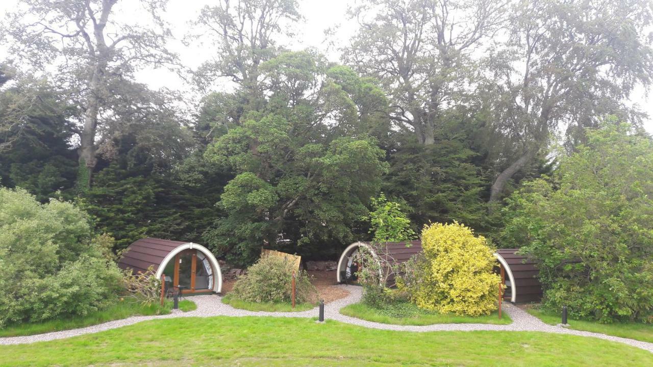 Priory Glamping Pods And Guest Accommodation Cill Airne Kültér fotó