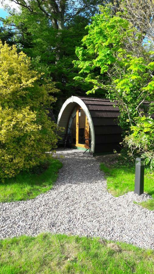Priory Glamping Pods And Guest Accommodation Cill Airne Kültér fotó