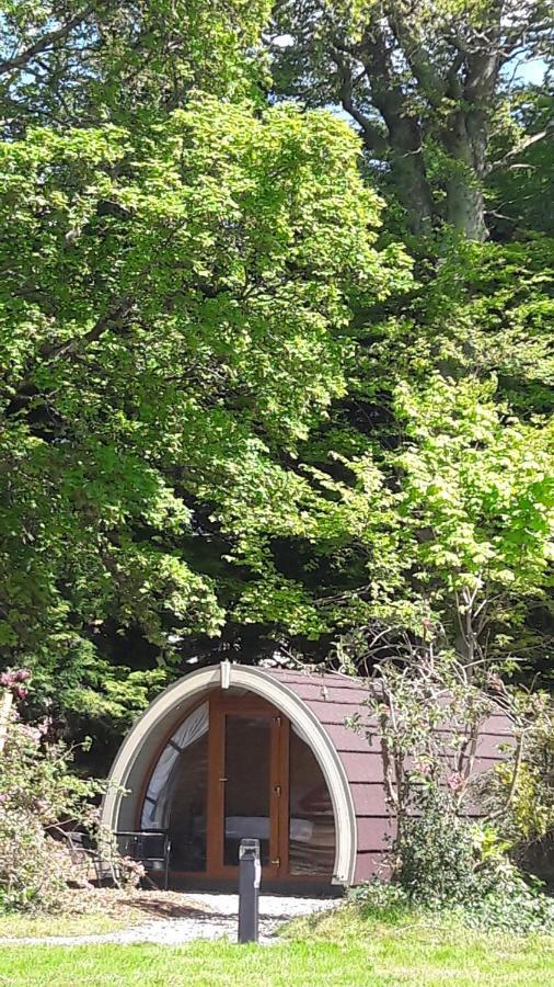 Priory Glamping Pods And Guest Accommodation Cill Airne Kültér fotó