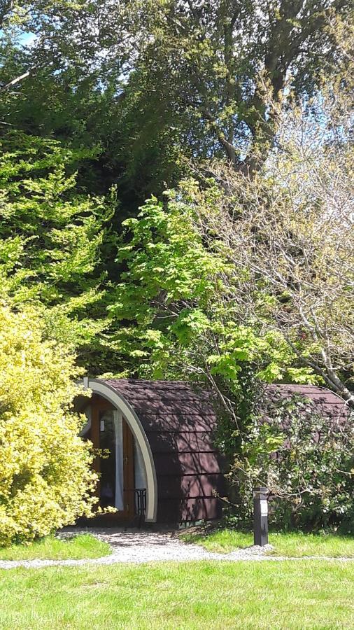 Priory Glamping Pods And Guest Accommodation Cill Airne Kültér fotó
