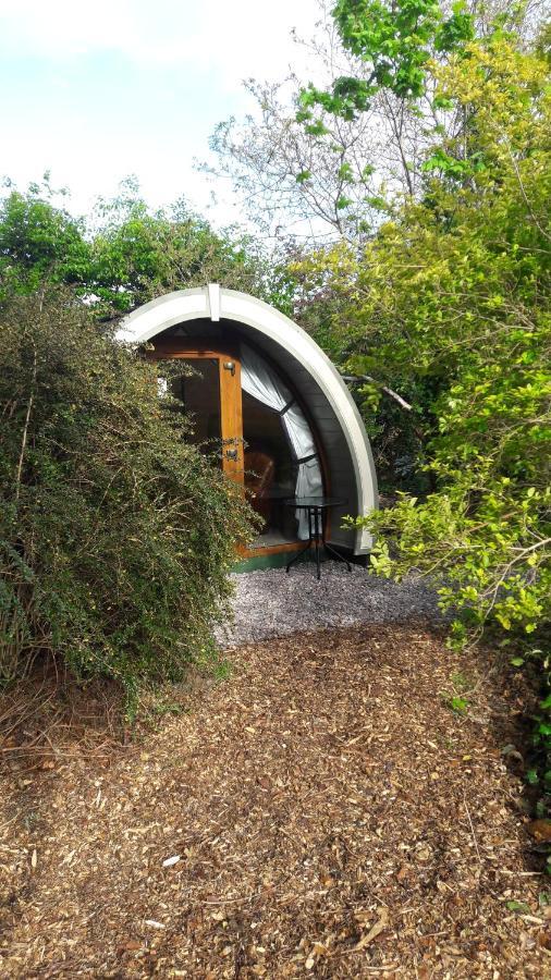 Priory Glamping Pods And Guest Accommodation Cill Airne Kültér fotó